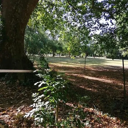 Casa de hóspedes De La Rivière Pexiora